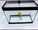 Aquario Beteira para peixes pequenos tipo Betta Retangular 20 cm - Sem Pedra