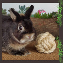 Brinquedo Bola Nó de Sisal para Coelhos e Roedores