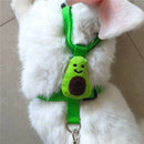 Conjunto de Peitoral e Guia Ajustável para Pequenos Animais