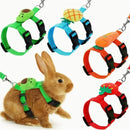 Conjunto de Peitoral e Guia Ajustável para Pequenos Animais