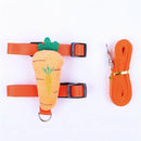 Conjunto de Peitoral e Guia Ajustável para Pequenos Animais