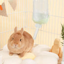 Tigela Bebedouro Automática para Hamster e Pequenos Animais