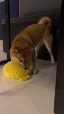 Brinquedo Mordedor Resistente Pato de Pelúcia Grande com Apito para Cães – EIDI PETS