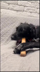 Brinquedo Cachorro Pet Mordedor de Madeira Rustico Sustentável