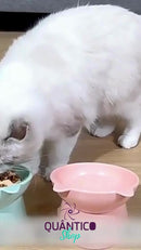 Comedouro Bebedouro Elevado Anti Engasgo Pet Gato Cachorro Kit e Unidade