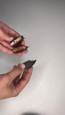 Brinquedo Interativo Para Gatos Barata De Brinquedo Que Anda Realista Divertido - ENVIO RÁPIDO