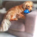 Brinquedo Pet Bola Futebol Americano Gigante Cachorro Cães