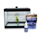 Aquario Beteira para peixes pequenos tipo Betta Retangular 20 cm - Sem Pedra
