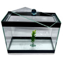 Aquario Beteira para peixes pequenos tipo Betta Retangular 20 cm - Sem Pedra