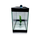 Aquario Beteira para peixes pequenos tipo Betta Retangular 20 cm - Sem Pedra