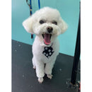 Gravatas Pet, Macho, Cachorro e Gato, Pet Shop, Banho e Tosa, Tamanho P, Kit, 15 Unidades.