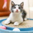 Arranhador Redondo Para Gato Relax Com Bolinha Miau