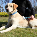 Desembolador Removedor De Pelos Longos Escova Pente Para Cachorro Gato Pet Rake Rasqueadeira
