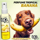 Perfume Super Cheiroso Pet Up Clean Para Cachorro Gato Pet shop Banho e Tosa