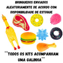 KIT  BRINQUEDO MORDEDOR  PET CÃES GATOS APITO