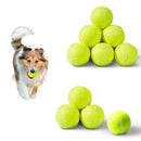 Bola de Tenis Para Treinamento Para Caes Cachorros Pula de Verdade