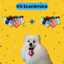 Gravatas Pet, Macho, Cachorro e Gato, Pet Shop, Banho e Tosa, Tamanho P, Kit, 15 Unidades.