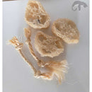 brinquedos 100% naturais para desgaste dos dentes de roedores kit 5 unidades (bucha vegetal e sisal).