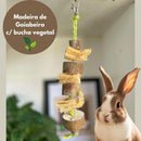 Brinquedo de GOIABEIRA In Natura Para Coelhos e Porquinho da Índia