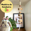 Brinquedo de GOIABEIRA In Natura Para Coelhos e Porquinho da Índia