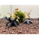 Refúgio Perfeito para Camarões Neocaridina – 4 Tocas Modernas e Funcionais para Seu Aquário