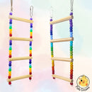 Kit Brinquedos Arco-Íris, calopsita, agapornis, periquito, aves, brinquedo, acessórios calopsita