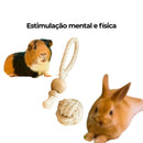 Brinquedo Para Coelhos e Roedores Bola Nó de Sisal + Argola com bolinha de Pinus