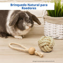 Brinquedo Para Coelhos e Roedores Bola Nó de Sisal + Argola com bolinha de Pinus