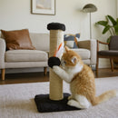 Arranhador Interativo para Gatos Sisal e Brincadeira