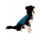 CãesAcessóriosRoupa CirúrgicaRoupa Cirúrgica, Pós-Cirurgia, Pós-Operatório, Roupa para Cães, Auxilia na Recuperação, Segura, Macia e Confortável, VerdeRoupa Cirúrgica, Pós-Cirurgia, Pós-Operatório, Roupa para Cães, Auxilia na Recuperação, Segura, Macia e