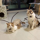Roupas divertidas para gatos DIY Roupas para baratas de Halloween