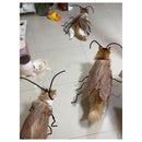 Roupas divertidas para gatos DIY Roupas para baratas de Halloween