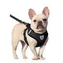 Conjunto De Arnês E Trela Para Animais De Estimação De Malha Ajustável-Coleira Respirável Cães/Gatos Com Controle De Tra