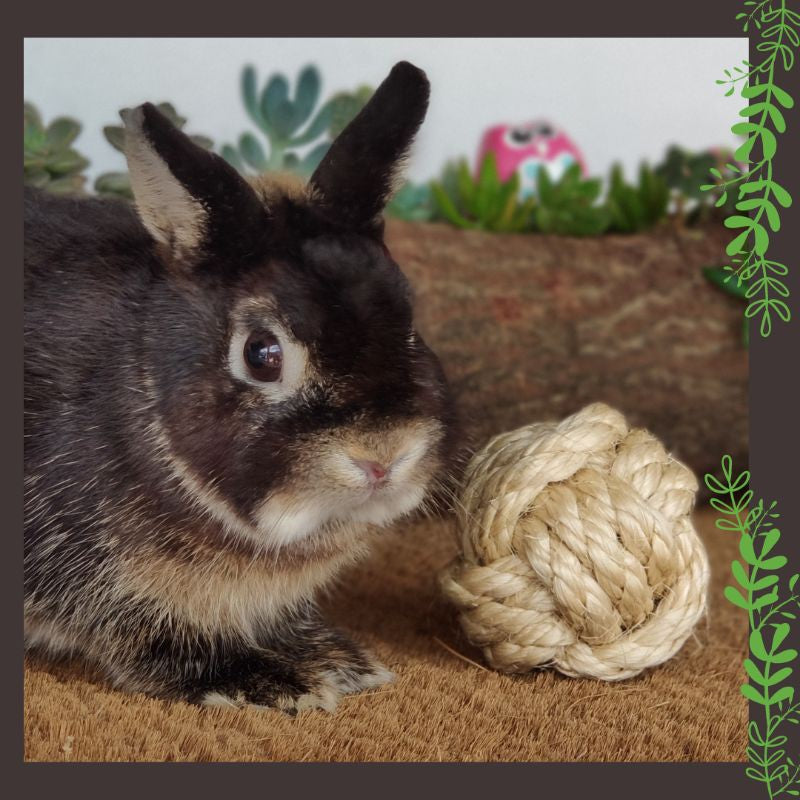 Brinquedo Bola Nó de Sisal para Coelhos e Roedores