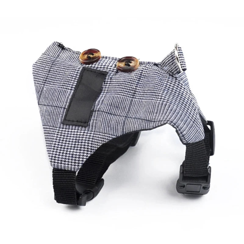 Conjunto Fofo de Peitoral e Guia para Gatos e Coelhos Pequenos
