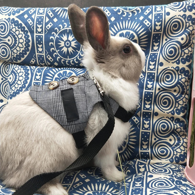 Conjunto Fofo de Peitoral e Guia para Gatos e Coelhos Pequenos