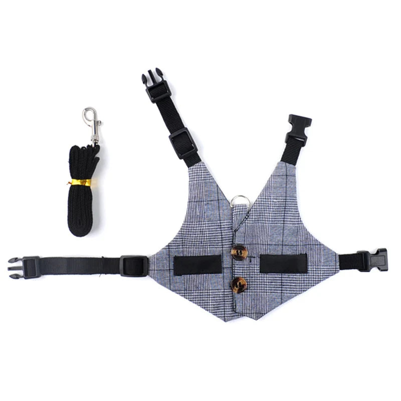 Conjunto Fofo de Peitoral e Guia para Gatos e Coelhos Pequenos