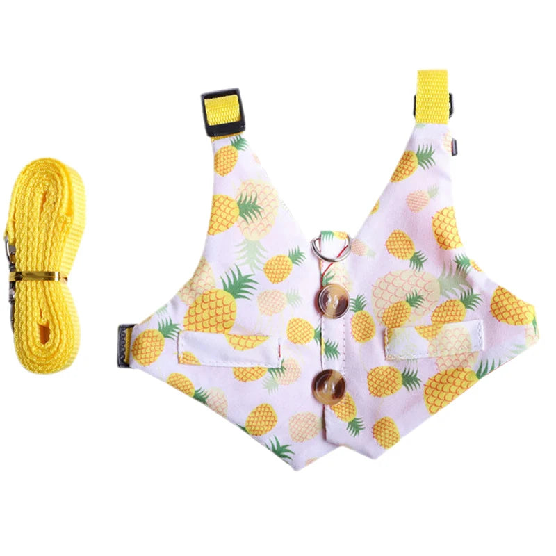 Conjunto Fofo de Peitoral e Guia para Gatos e Coelhos Pequenos