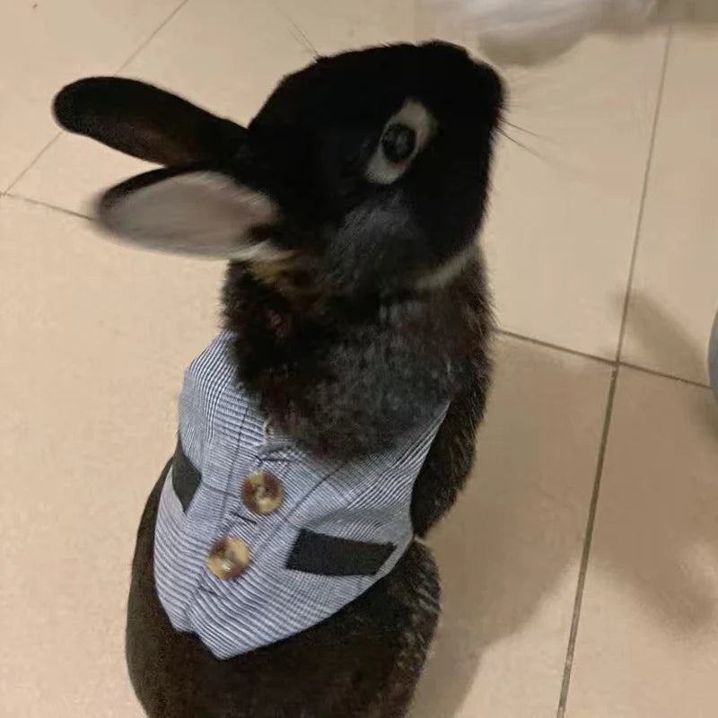 Conjunto Fofo de Peitoral e Guia para Gatos e Coelhos Pequenos