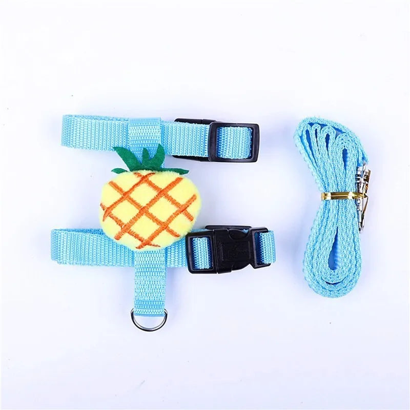 Conjunto de Peitoral e Guia Ajustável para Pequenos Animais