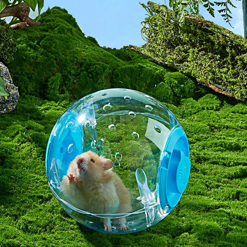Bola de Exercício Transparente para Hamster