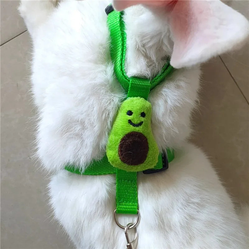 Conjunto de Peitoral e Guia Ajustável para Pequenos Animais