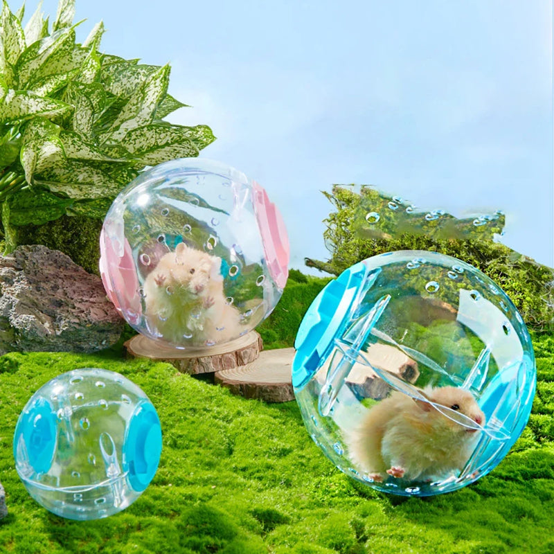 Bola de Exercício Transparente para Hamster
