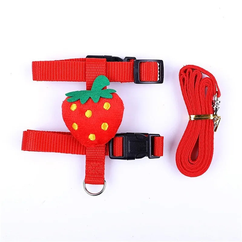 Conjunto de Peitoral e Guia Ajustável para Pequenos Animais