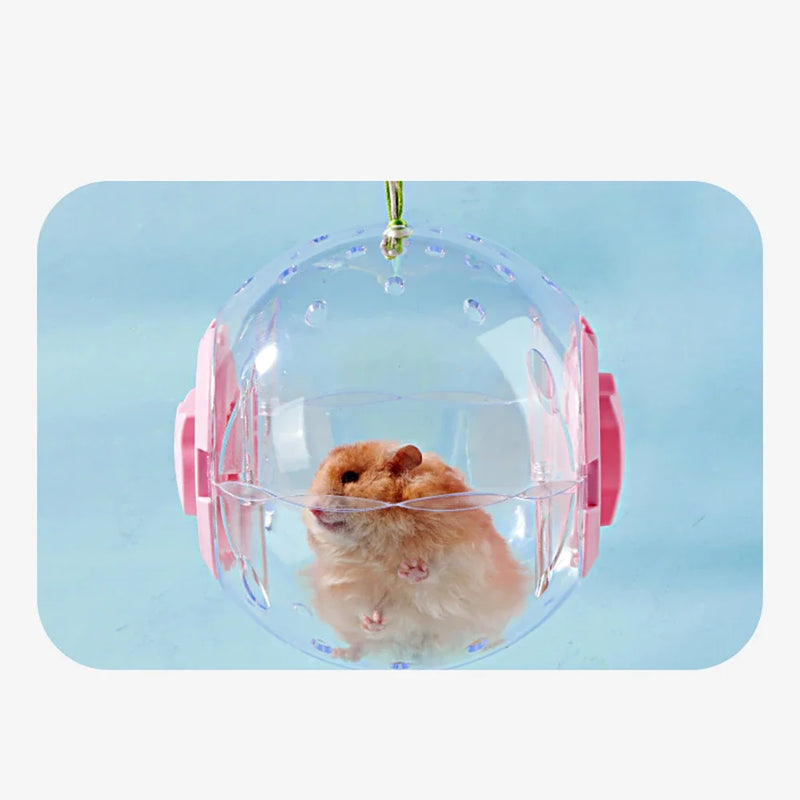 Bola de Exercício Transparente para Hamster