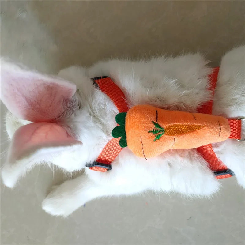 Conjunto de Peitoral e Guia Ajustável para Pequenos Animais