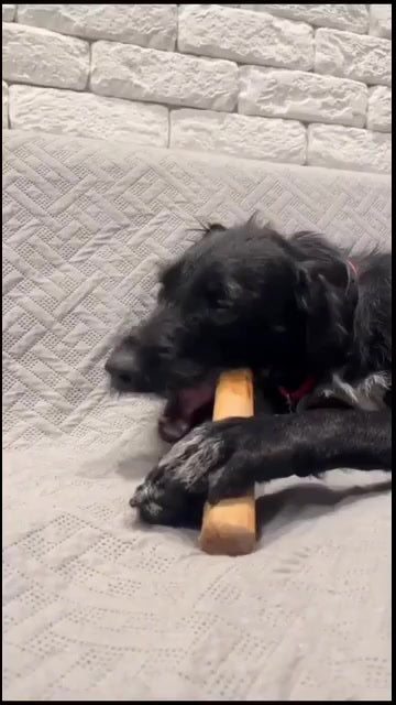 Brinquedo Cachorro Pet Mordedor de Madeira Rustico Sustentável