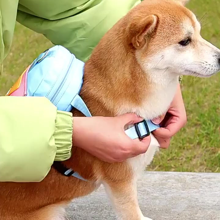 Mochila Pet Impermeável Com Peitoral E Guia Ideal Para Cães Em Viagens E Passeios Ao Ar Livre