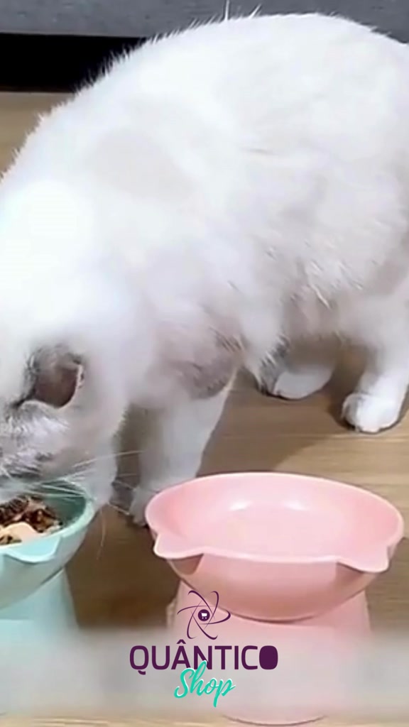 Comedouro Bebedouro Elevado Anti Engasgo Pet Gato Cachorro Kit e Unidade