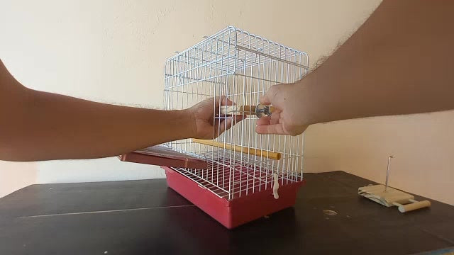 Suporte Suspenso de Frutas e Legumes Para Pássaros, Calopsita, Agapórnis e Periquito.